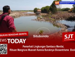 Pemerhati Lingkungan : Ribuan Mangruve Musnah Karena Buruknya Ekosentrisme  Ekologi