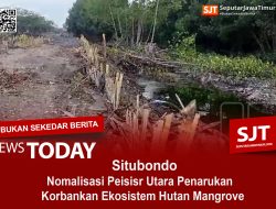 Nomalisasi Pesisir Utara Penarukan , Korbankan Ekosistem Hutan Mangrove