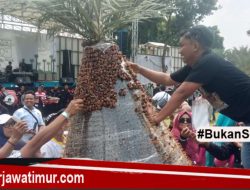 Festival Kurma Ke-3 Jadi Alternatif Wisata awal Tahun.