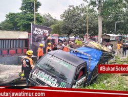Sebuah Mobil Tertimpa Pohon Tumbang