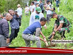 Aksi Tanam Ribuan Pohon, Lestarikan Lereng Gunung Bromo
