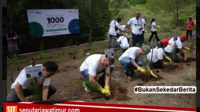 Kingspan, Onduline dan Bukalapak Tanam Ribuan Pohon  Demi Kurangi Emisi Karbon