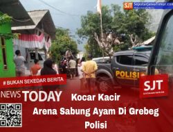 Diduga Bocor, 10 Ayam Aduan Diamankan Dari Lokasi Sabung Ayam.