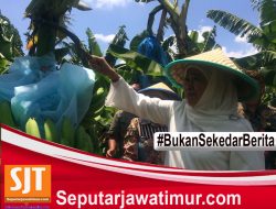 Pilgub Jatim, Khofifah Beri Kode Merasa Nyaman Dengan Emil Dardag.