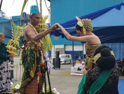 Awal Musim Giling Tiba, Pabrik Gula RMI Blitar Gelar Tradisi Unik Manten Tebu