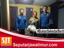 Damkar Kabupaten Probolinggo Evakuasi Ular Piton Berukuran Tiga Meter di Pemukiman Warga