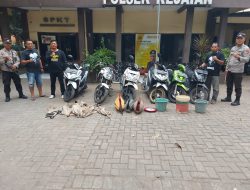 Polsek Kejayan Grebek Arena Judi Sabung Ayam, Pelaku Berhamburan Kabur.