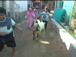 INSPIRASI. Bocah SD Di Bangkalan  Ber Kurban Dari Tabungan Uang Saku Sekolah