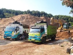 PT Raja Muda Gemilang Naikkan Pasokan Sawdust, Hingga Mencapai 200 Persen