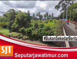 Heboh Penampakan Hewan di Duga Buaya Muncul di Sungai Kalibaru Banyuwangi