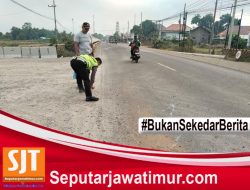 Pemotor Asal Paiton Tewas Usai Ditabrak Truck Box Tak Dikenal