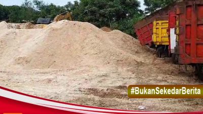 PT Raja Muda Gemilang Berkomitmen Mendukung Pemerintah Dalam Menggalakkan Bahan Bakar Padat Biomassa Ramah Lingkungan