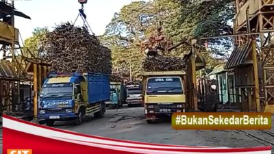 PG Ngadiredjo Bertekat Pertahankan Sebagai Pabrik Gula Terbaik