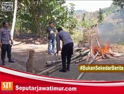 Di Duga Bocor, Penggrebekan Judi Sabung Ayam Di Banyuwangi Tak Membuahkan Hasil