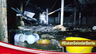 Kandang Ayam Di Blitar  Ludes Di Lalap Si Jago Merah