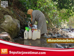 Geger. Keris Pusaka Bergagang Burung , Muncul Di Sumber Mata Air Milik Warga Di Banyuwangi
