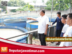 Intip Dua Produsen Lele, Pemkab Kediri Dorong Penguatan Nilai Jual