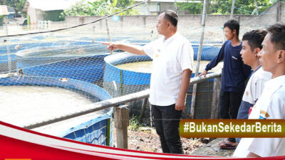 Intip Dua Produsen Lele, Pemkab Kediri Dorong Penguatan Nilai Jual