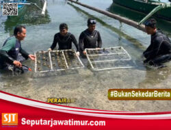 70 Potong Terumbu Karang Hias Dan Ikan Hias Ilegal Berhasil Di Amankan  Polsek Gilimanuk