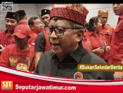 Sekjen PDIP Hasto Kristiyanto Perintahkan Kader Banteng Banyuwangi Menangkan Risma-Gus Hans dan Ipuk-Mujiono