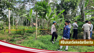 Diduga Diperkosa Siswi Madrasah Kalibaru Ditemukan Tewas di Kebun Kosong Dekat Rumah,