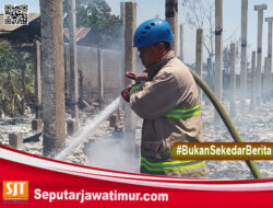 Sebuah Kandang Ayam Di Blitar Ludes Di Lalap Api