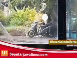 Dua Remaja Berbuat Mesum Di Parkiran Sasana Krida Kraksaan Pada Siang Bolong . Ini Langkah Satpol PP