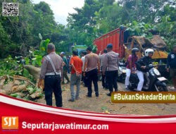 Sebuah  Pohon Tumbang Timpa Truk Di Jalur Utama Denpasar-Gilimanuk, Satu Korban Luka-Luka
