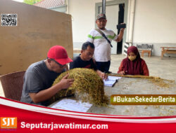 Komisi ll dan HKTI Bongkar Harga Tembakau . Tembus Harga 66 Ribu Per Kg
