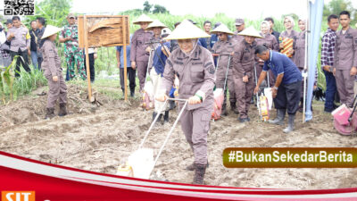 Kejari Kabupaten Kediri Tanam Jagung Dukung Program Ketahanan Pangan Nasional
