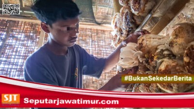 WBP Lapas Kediri Panen Jamur Tiram Capai 30 Kg, Dinikmati Warga Dengan Harga Terjangkau