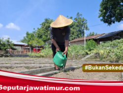Lapas Kediri Tanam Terong di Lahan SAE sebagai Bagian Pembinaan Kemandirian WBP