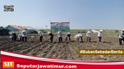 Dukung Ketahanan Pangan, Polres Probolinggo Tanam Jagung Kuartal IV di Desa Sidodadi Paiton