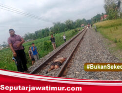 Perempuan di Blitar Tewas Tertabrak Kereta Api Matarmaja, Diduga Sengaja Berdiri di Rel
