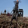 MKSO Kebun Dhoho Manfaatkan Grab Loader Untuk Kelancaran Tebang