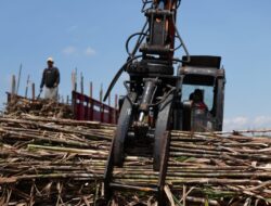 MKSO Kebun Dhoho Manfaatkan Grab Loader Untuk Kelancaran Tebang
