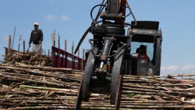 MKSO Kebun Dhoho Manfaatkan Grab Loader Untuk Kelancaran Tebang