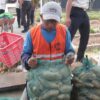 Panen Ratusan Kilogram Ubi Cilembu, Bukti Keberhasilan Pembinaan Warga Binaan Lapas Kediri